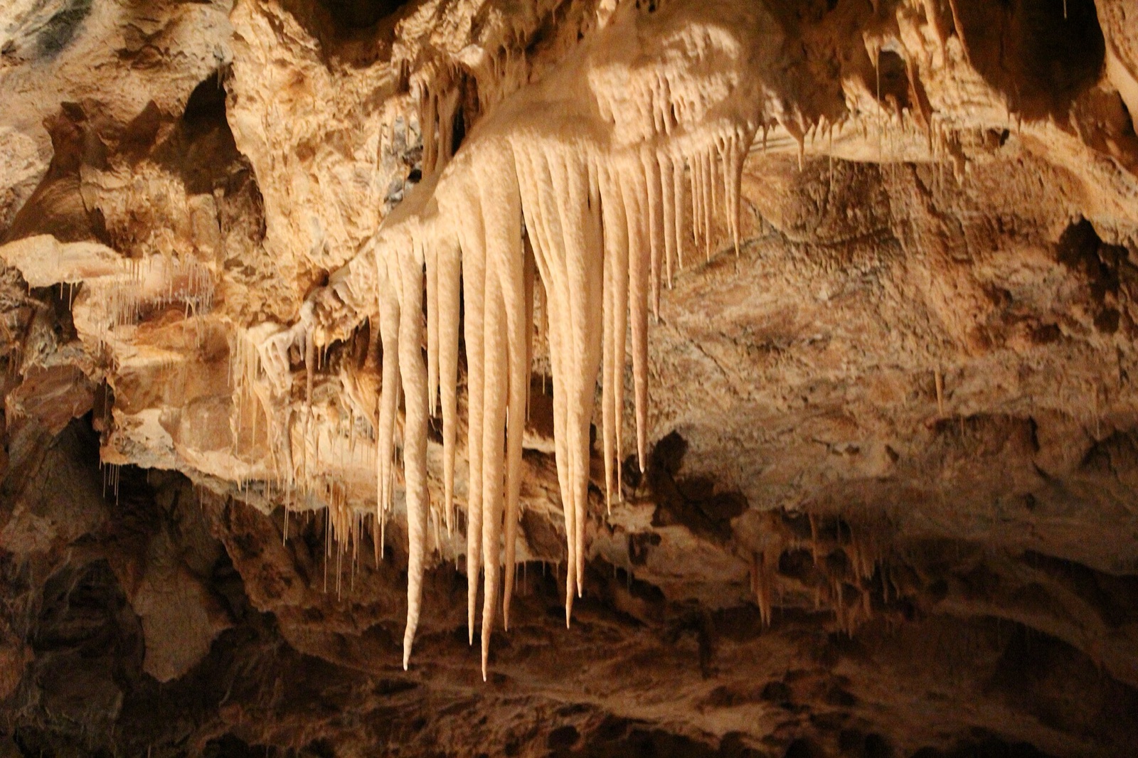 Stalactite albe pe tavanul peșterii